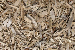 biomass boilers Llangwnnadl